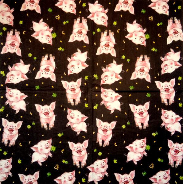 080 Pigs - 3-ply - Nouveau